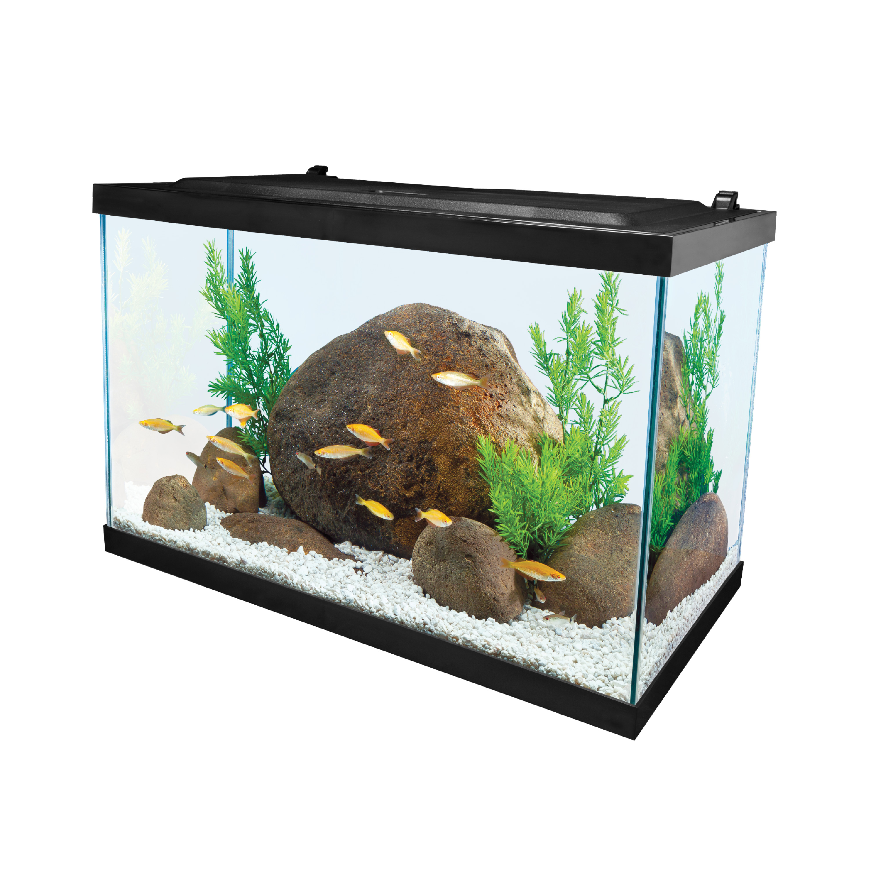 20 gallon long aquarium hood and light cheap